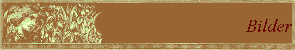 Bilder